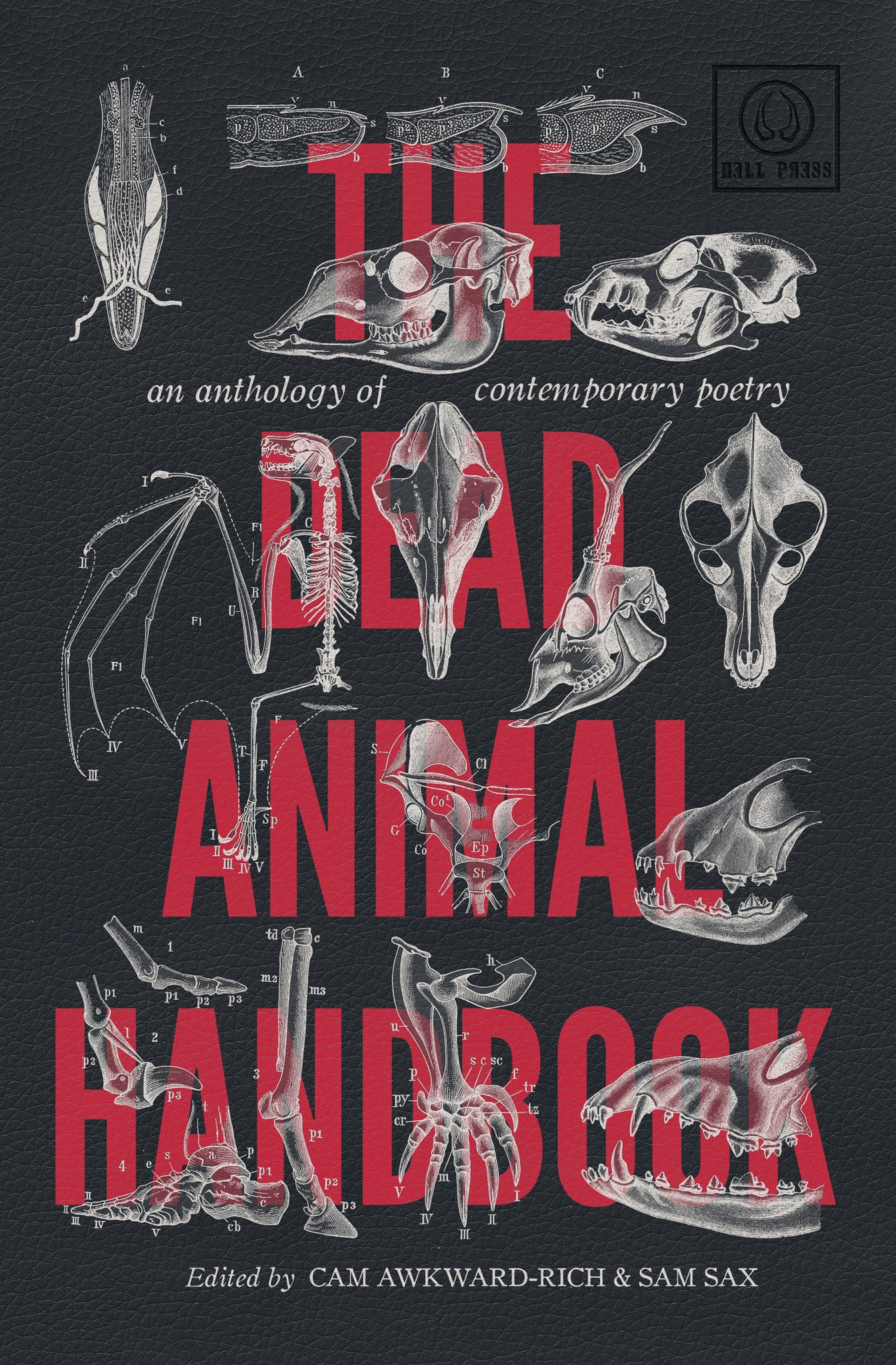 The Dead Animal Handbook: An Anthology of Contemporary Poetry